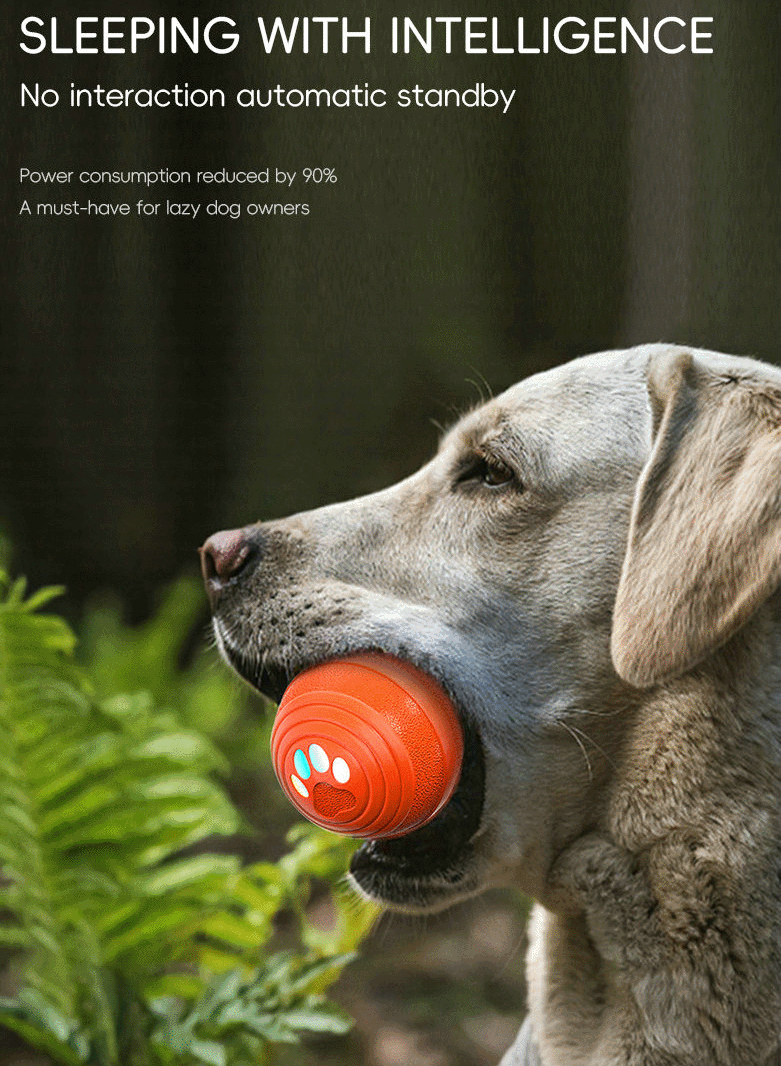 详情 英 拷贝-6.gif 详情 英 拷贝-6.gif