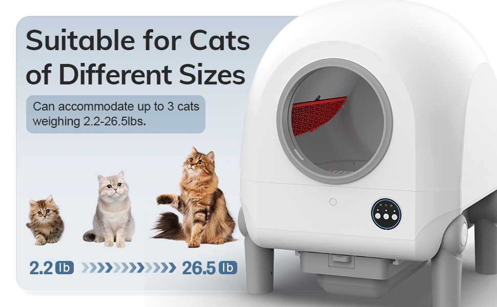 详情2.jpg 详情2.jpg