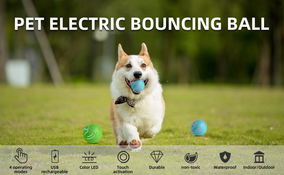 狗狗球_01.jpg 狗狗球_01.jpg