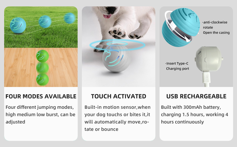 狗狗球_02.jpg 狗狗球_02.jpg