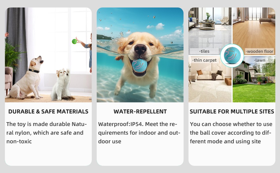 狗狗球_03.jpg 狗狗球_03.jpg