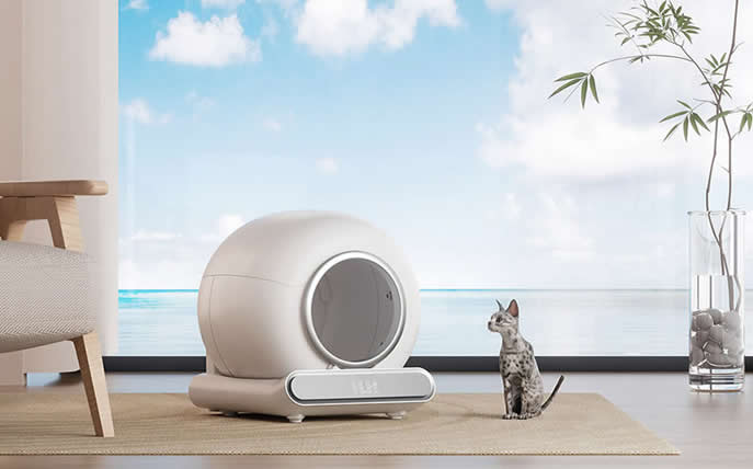 Modern pet product in a stylish home setting